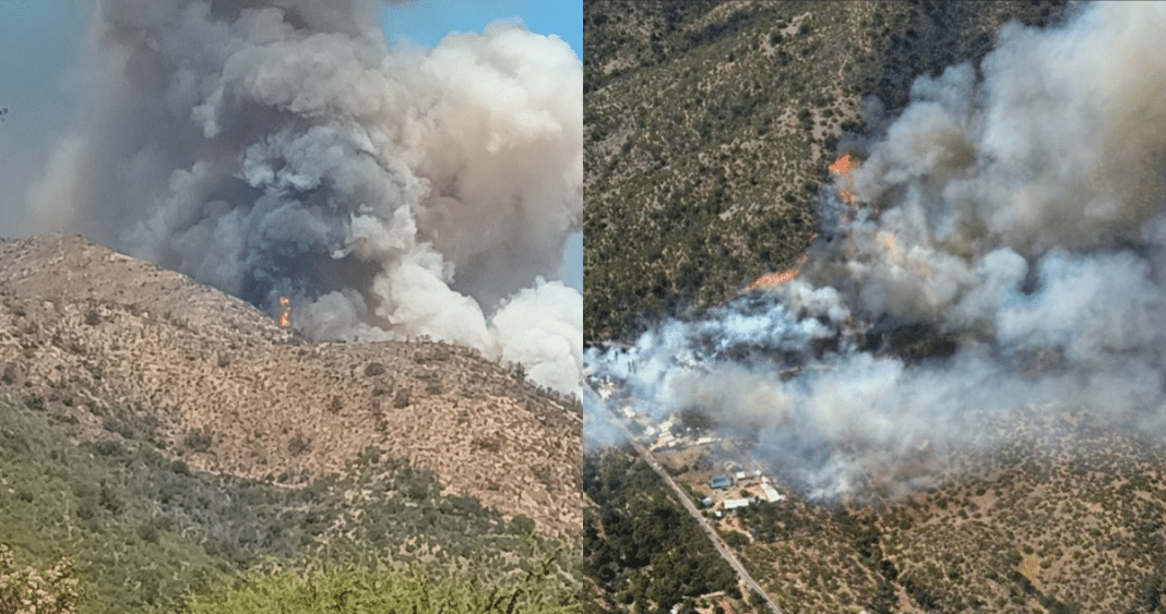 ¡Alerta Amarilla en Quilpué! Incendio forestal con comportamiento extremo