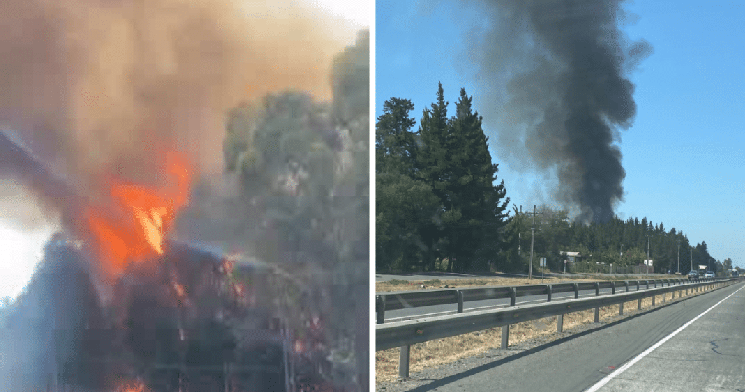 ¡Alerta! Dos incendios forestales amenazan la ruta 5 Sur