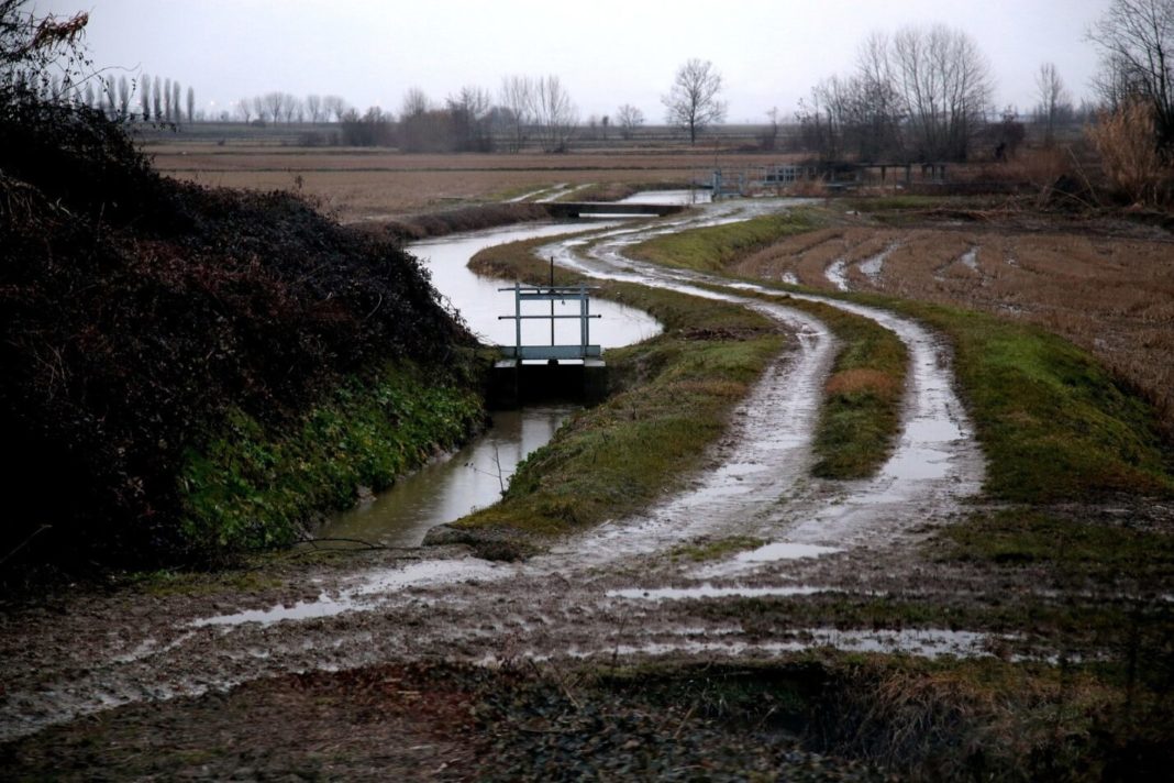 ¡Alerta! La Niña y su impacto en la agricultura este 2024