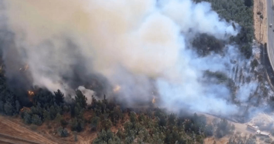 ¡Alerta Roja! Incendio forestal amenaza a Chillán Viejo