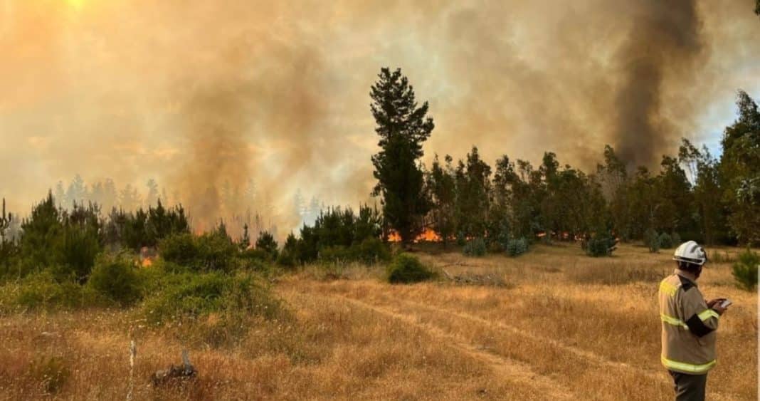 ¡Alerta Roja! Incendio forestal amenaza viviendas en Galvarino