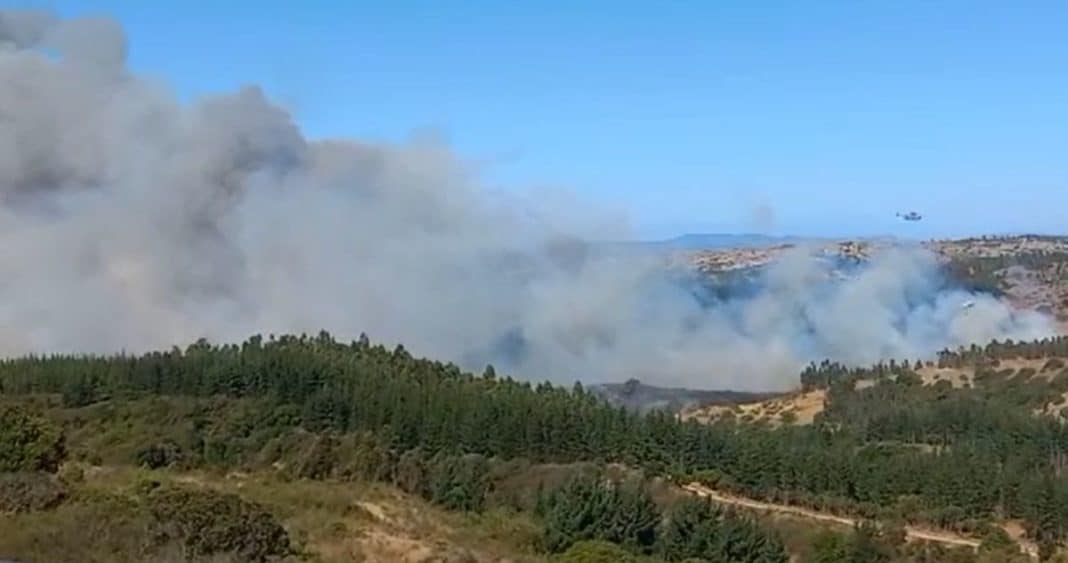¡Alerta Roja! Incendio forestal en Navidad obliga a evacuar cuatro sectores