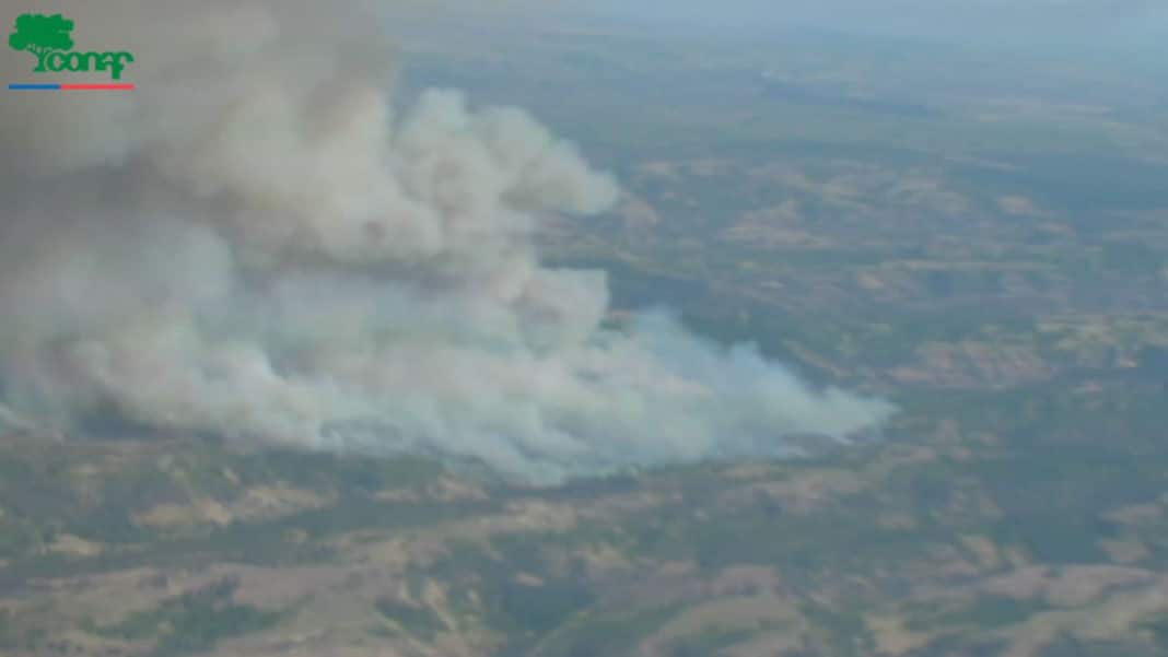 ¡Alerta Roja! Senapred ordena evacuación de zonas de Navidad por incendio forestal