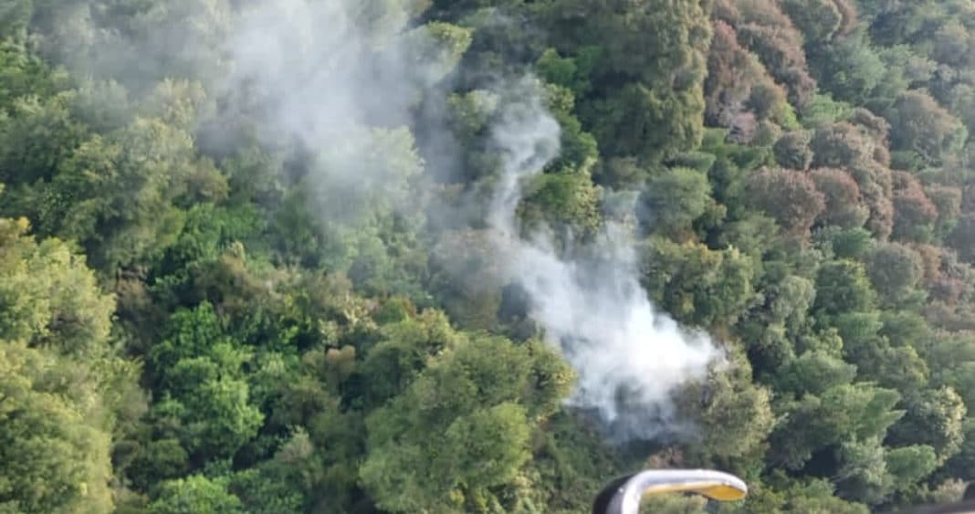 ¡Alerta Roja en Chaitén! Incendio amenaza al Parque Nacional Pumalín