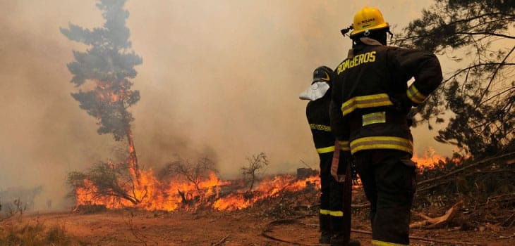 ¡Alerta Roja en Chillán Viejo! Un incendio forestal amenaza viviendas y paneles fotovoltaicos