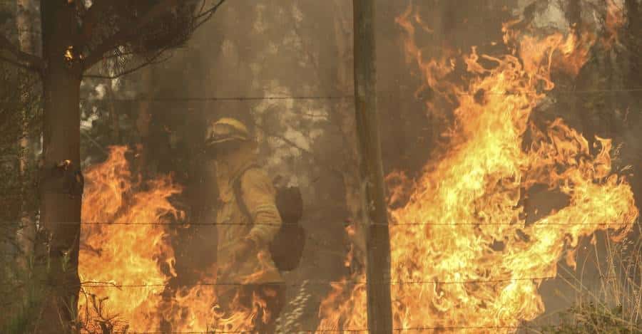 ¡Alerta Roja en Copiapó! Incendio forestal amenaza viviendas en la comuna