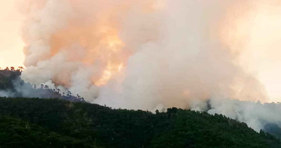 ¡Alerta Roja en Lonquimay! Tres incendios forestales provocados por rayos mantienen en vilo a La Araucanía