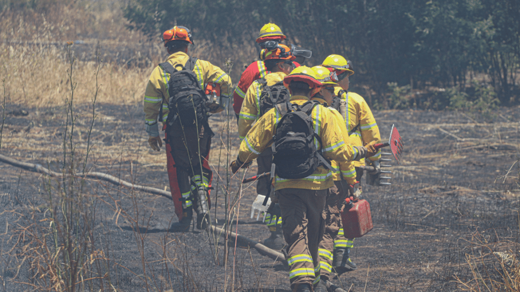 ¡Alerta roja! Incendio forestal en Galvarino presenta un comportamiento extremo