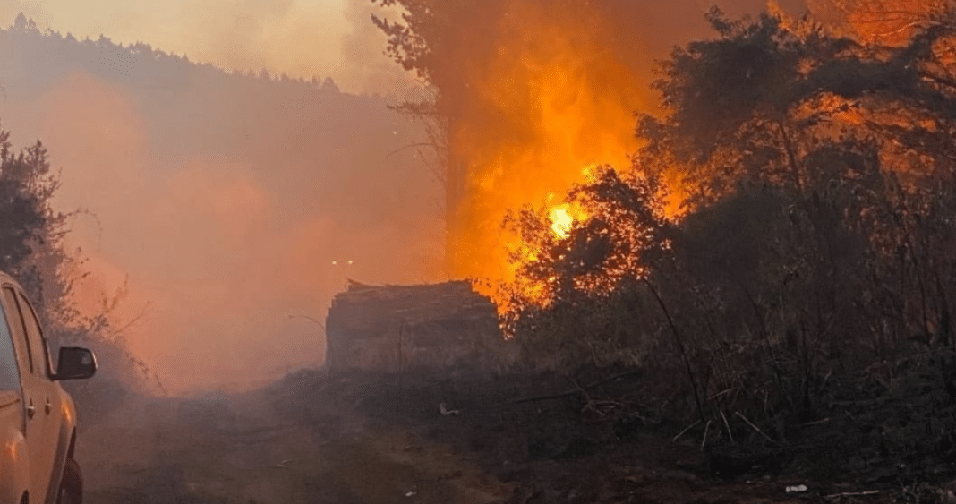 ¡Ataque incendiario de la CAM provoca devastador incendio forestal en Teodoro Schmidt!