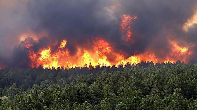 ¡Emergencia en Colombia! Gobierno declara desastre natural por incendios forestales