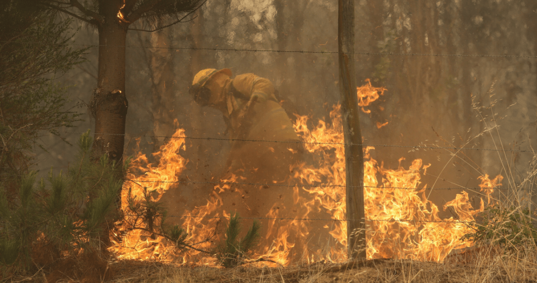 ¡Escándalo! Presuntos responsables de mortales incendios forestales serán formalizados