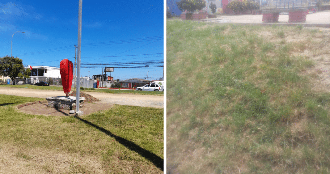 ¡Escándalo en San Antonio! Municipio acusado de abandono de áreas verdes