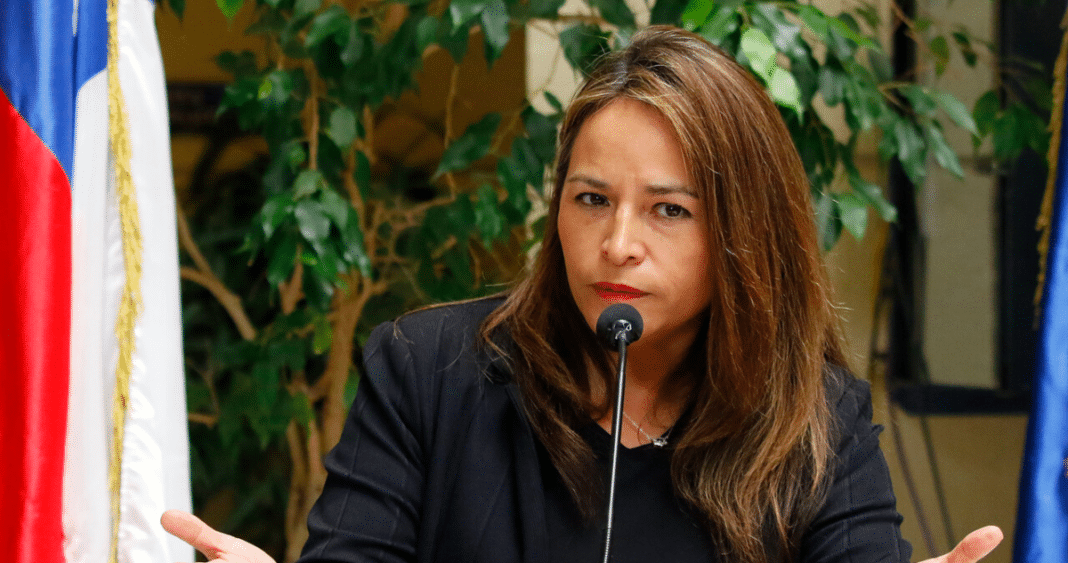 ¡Escándalo en el Congreso! Diputada Pérez amenaza con rechazar reforma de Pensiones y pone en jaque al Gobierno