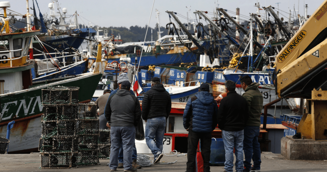 ¡Escándalo en la pesca! Artesanales critican propuesta del gobierno