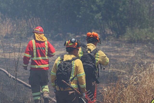 ¡Extrema las medidas de prevención! Evita víctimas fatales en incendios forestales