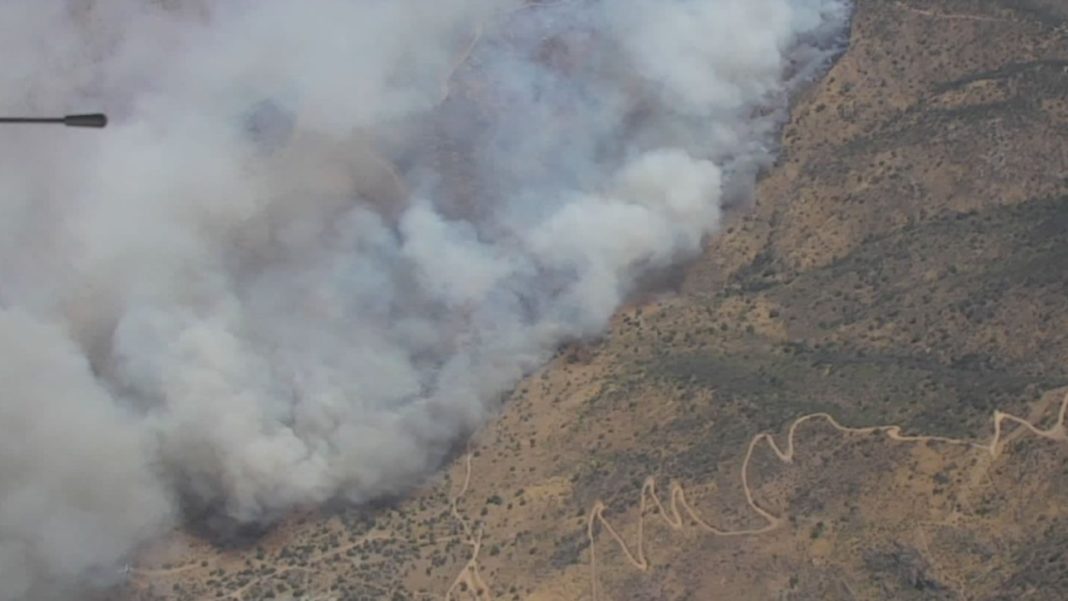 ¡Impactantes imágenes! El incendio forestal en Cuesta Lo Prado amenaza a sectores habitados