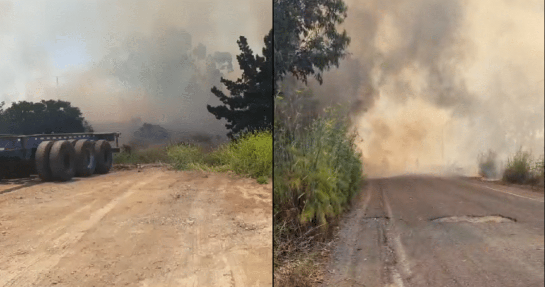 ¡Incendio forestal de rápido avance en Cartagena! ¿Qué está sucediendo?