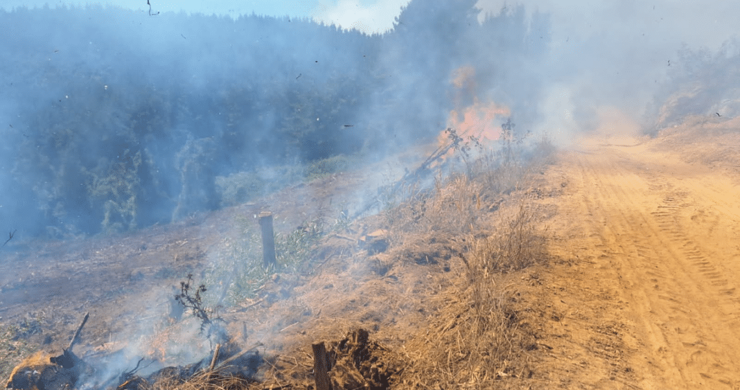 ¡Incendio forestal desatado por ataque terrorista en Teodoro Schmidt! ¿Qué está sucediendo?