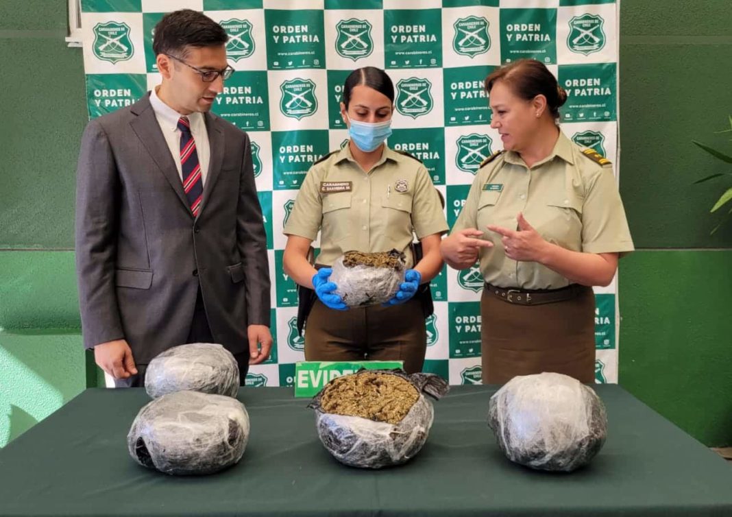 ¡Increíble! Carabineros de Ñuble decomisa más de 4 kilos de marihuana a extranjero que intentó evadir control policial