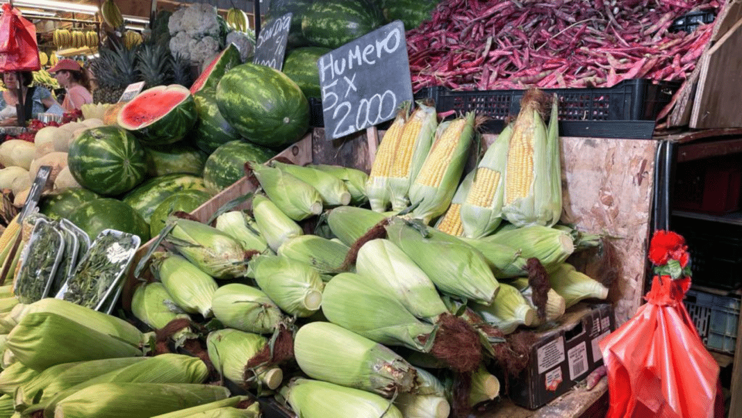 ¡Increíble! Descubre por qué los precios del tomate y el choclo bajarán pronto