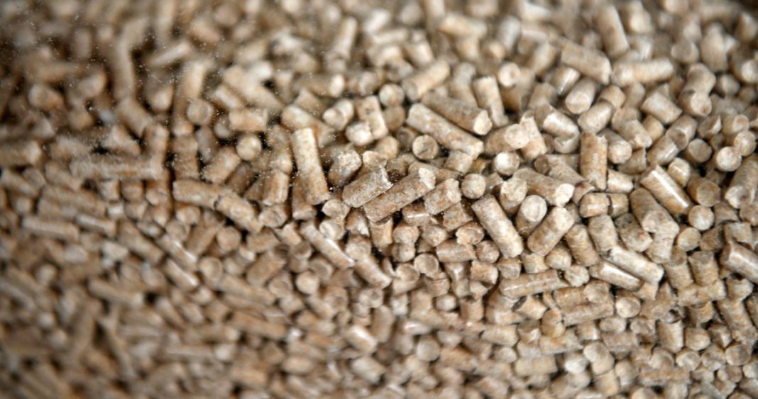 ¡Increíble! Los Ríos cuenta con 2 mil toneladas de pellet a precios desde $4.990