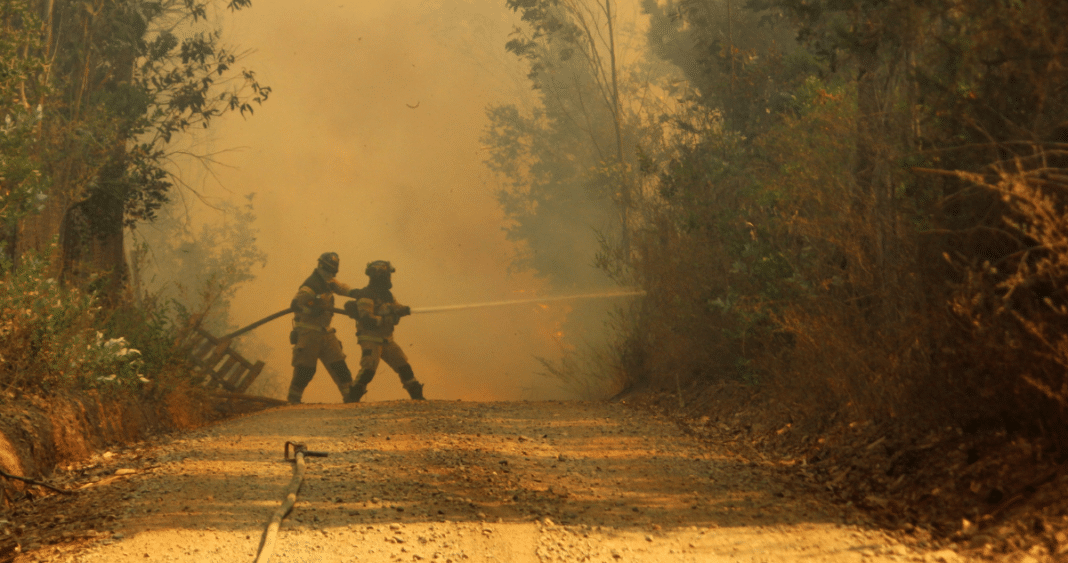 ¡Increíble! Trabajo preventivo evita avance de 11 amagos de incendios forestales en Quillón