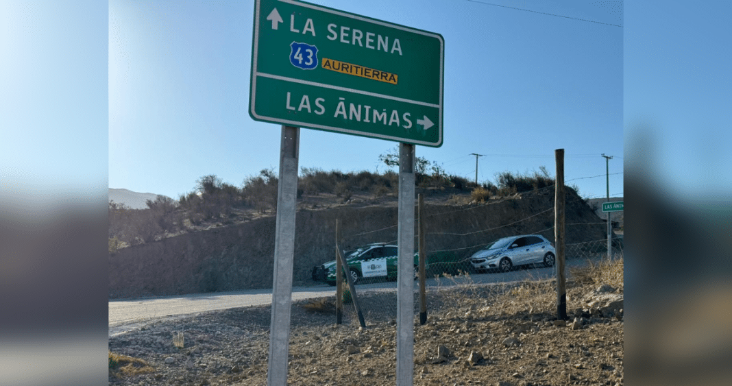 ¡Macabro hallazgo en Ovalle! Encuentran cabeza humana en plena Ruta 43