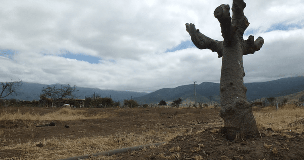 ¡Medida tardía! MOP declara zona de escasez hídrica en Chiloé