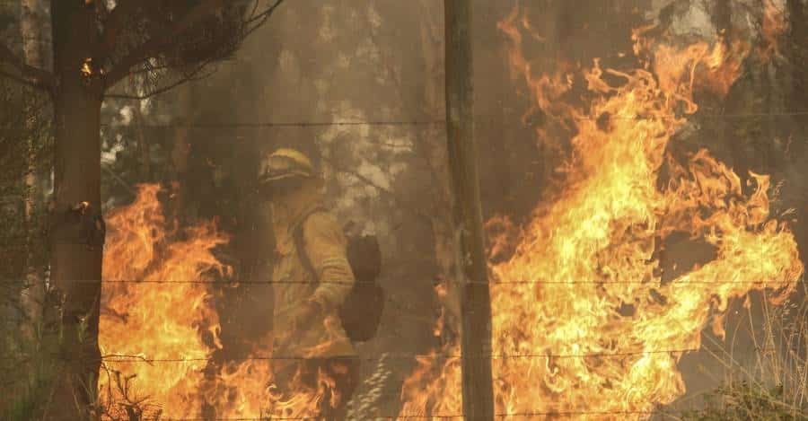 ¡Trágica noticia! Fallece valiente brigadista tras sufrir graves quemaduras en incendio forestal