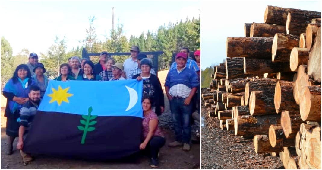 Comunidad mapuche huilliche paraliza indefinidamente faena forestal en San Pablo