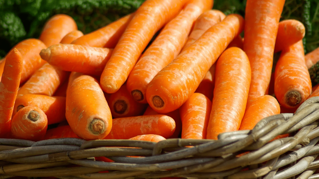 Descubre los increíbles beneficios de las zanahorias en tu salud y cocina
