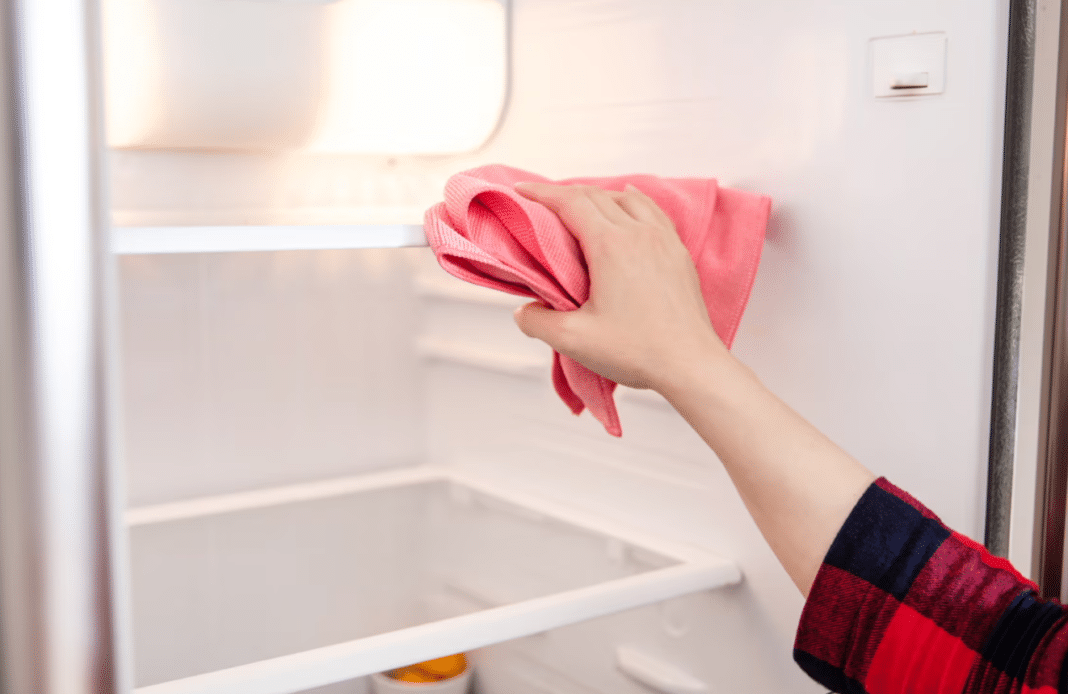 Descubre los mejores tips para mantener tu refrigerador impecable por dentro y por fuera