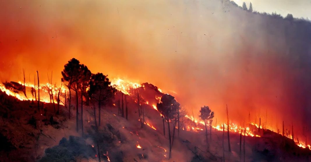 El impacto del hollín tras los incendios forestales: una amenaza para la salud y el medio ambiente