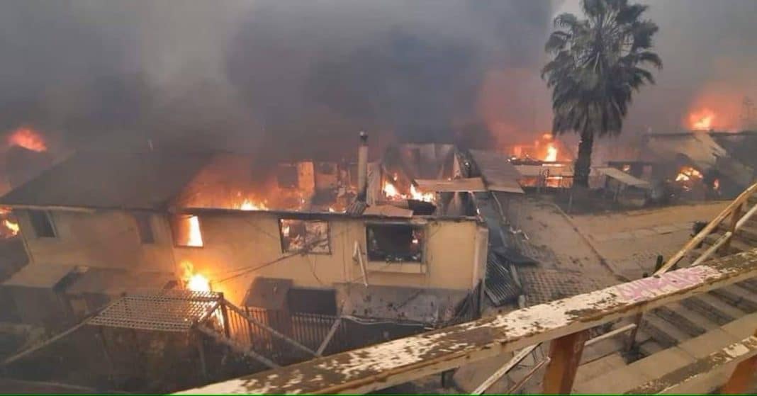 Impactantes imágenes de destrucción tras los incendios forestales en El Olivar de Viña del Mar