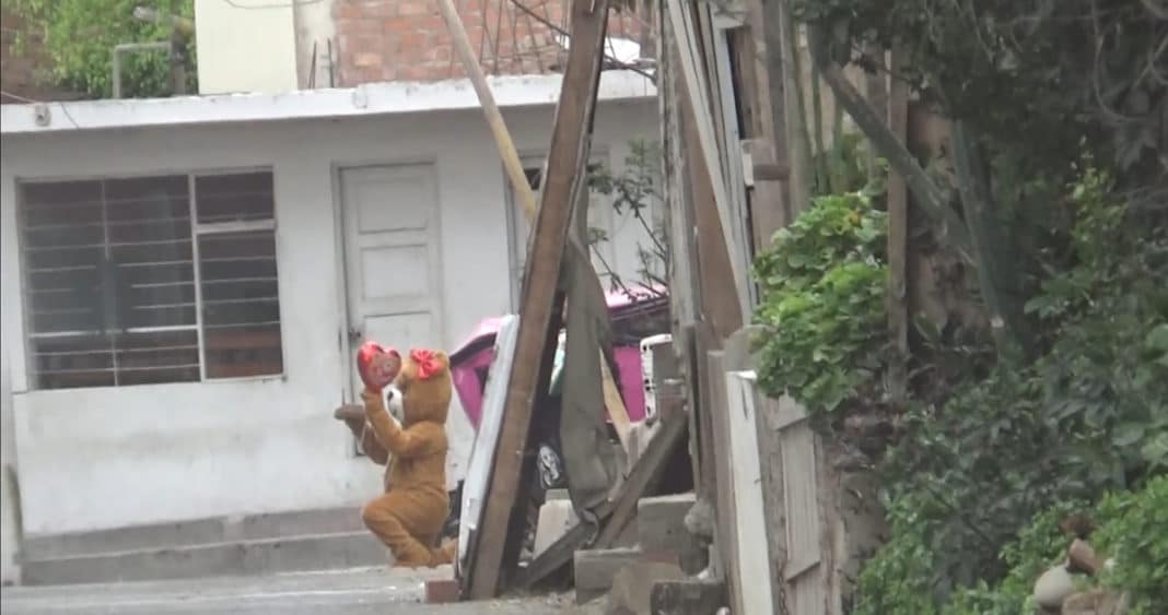 Increíble estrategia policial: Oso gigante de San Valentín captura a narcotraficante en Perú