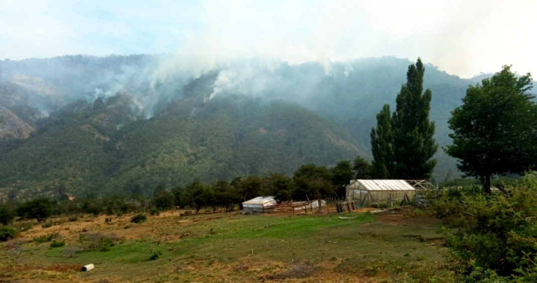 ¡Alarma en Lonquimay! Incendio forestal arrasa bosque nativo y amenaza viviendas