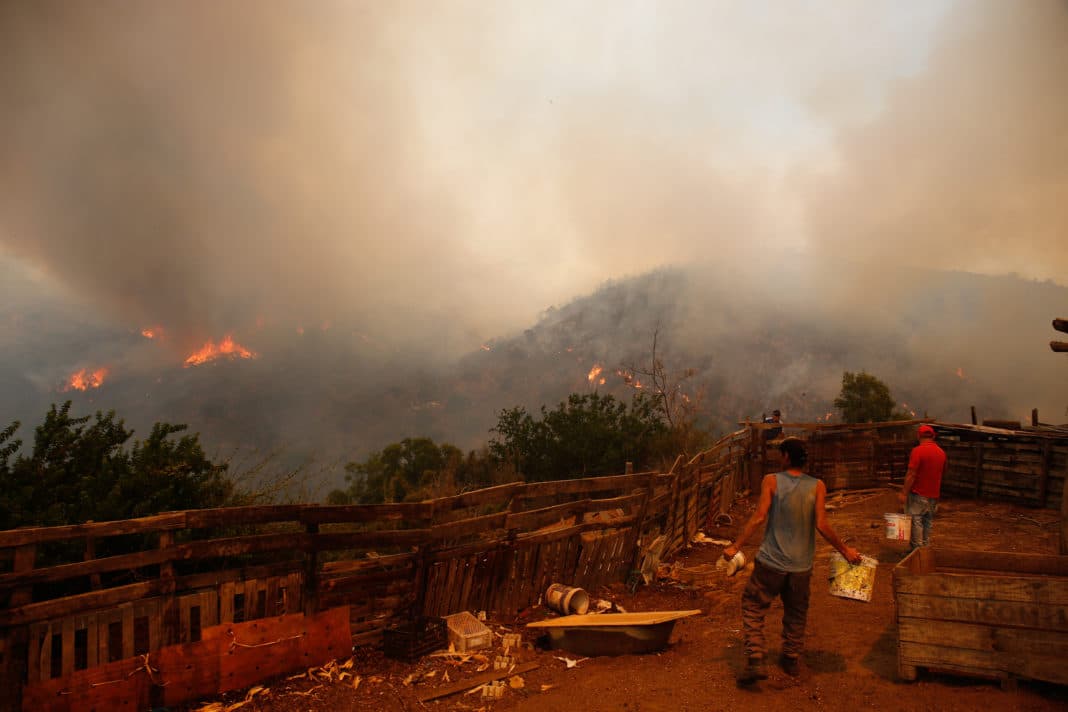 ¡Alerta! Incendios forestales en la zona central: balance y medidas de emergencia
