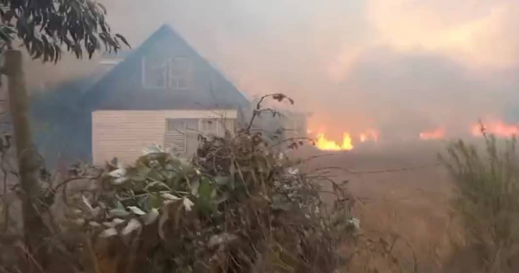 ¡Alerta Roja! Incendio forestal amenaza casas en San Pedro