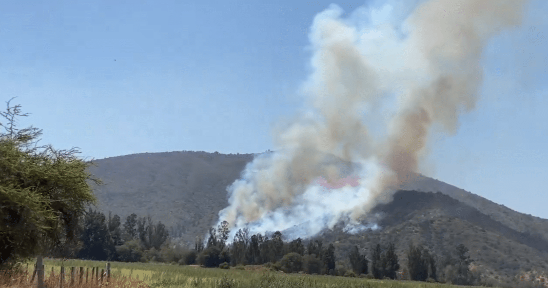 ¡Alerta Roja! Incendio forestal en Casablanca consume al menos 10 hectáreas