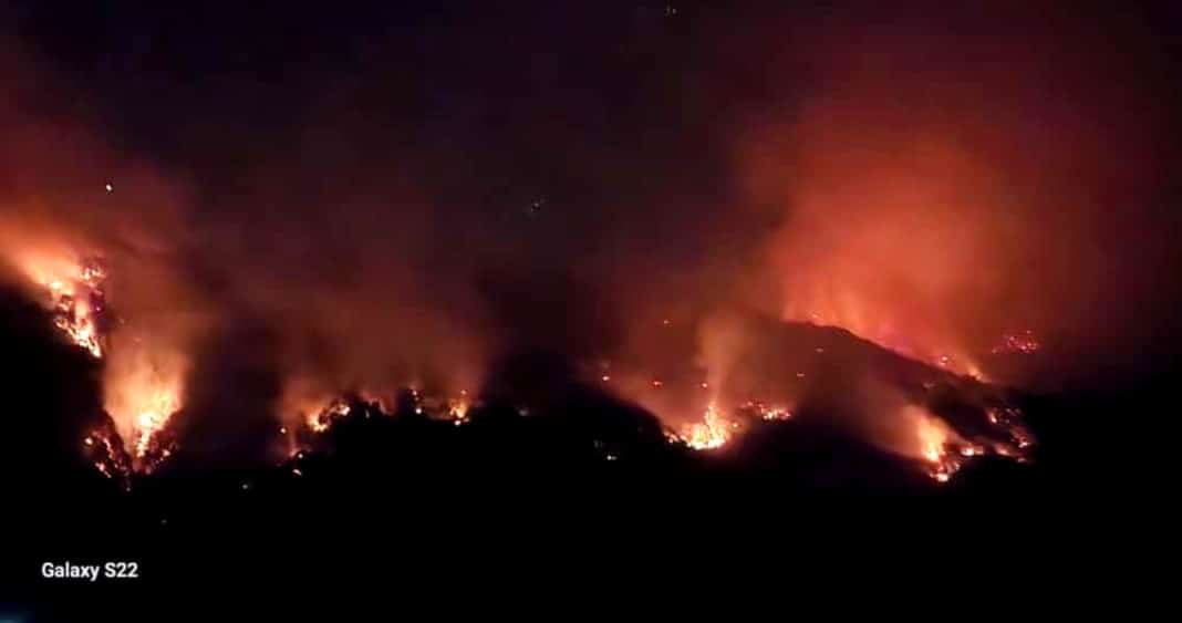¡Alerta Roja! Incendio forestal fuera de control en Lonquimay