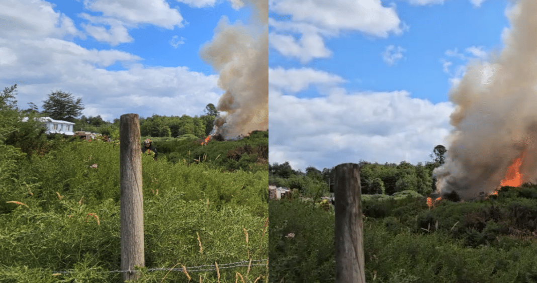 ¡Alerta Roja en Dalcahue! Incendio forestal amenaza viviendas