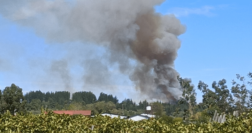 ¡Alerta Roja en Quillón! Incendio forestal amenaza a 20 viviendas