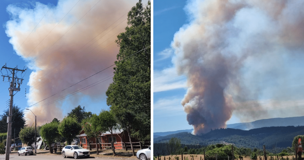 ¡Alerta Roja en San Juan de la Costa! Incendio forestal amenaza la región