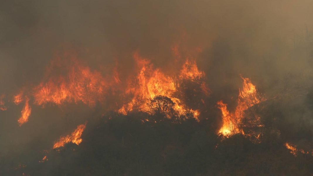 ¡Alerta Roja en San Pedro! Incendio forestal amenaza viviendas