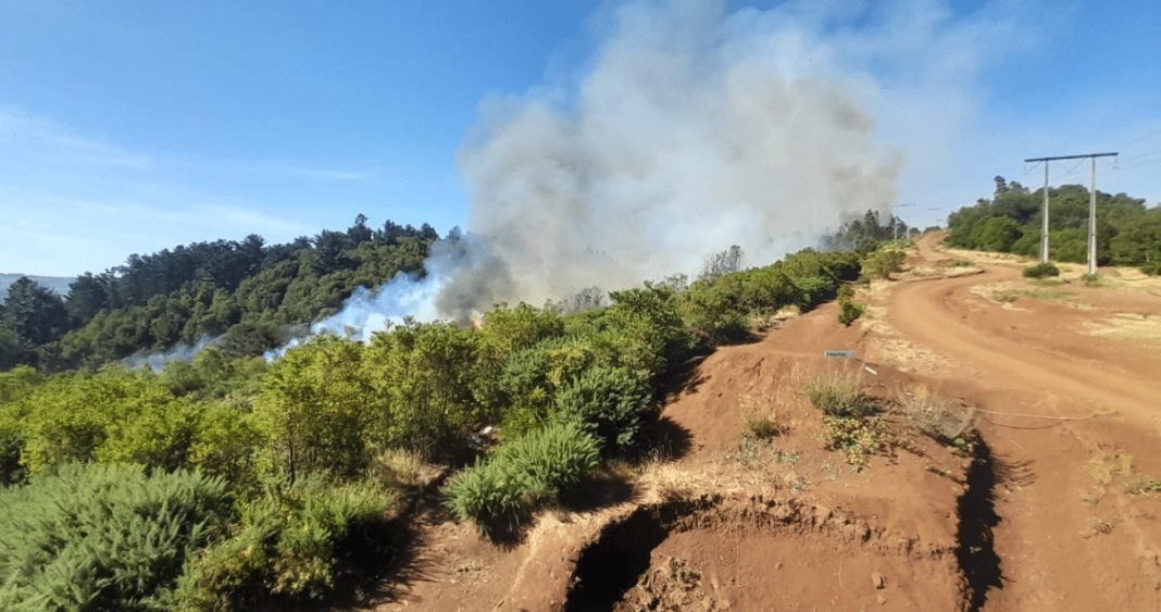 ¡Alerta Roja en Temuco! Incendio forestal amenaza el Cerro Ñielol