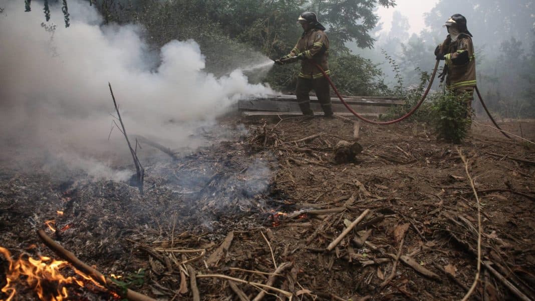 ¡Alerta roja! Incendios forestales amenazan la Región de La Araucanía