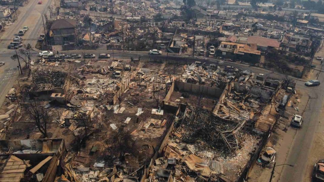 ¡Descubre cómo obtener ayuda tras los incendios forestales con la Ficha FIBE!