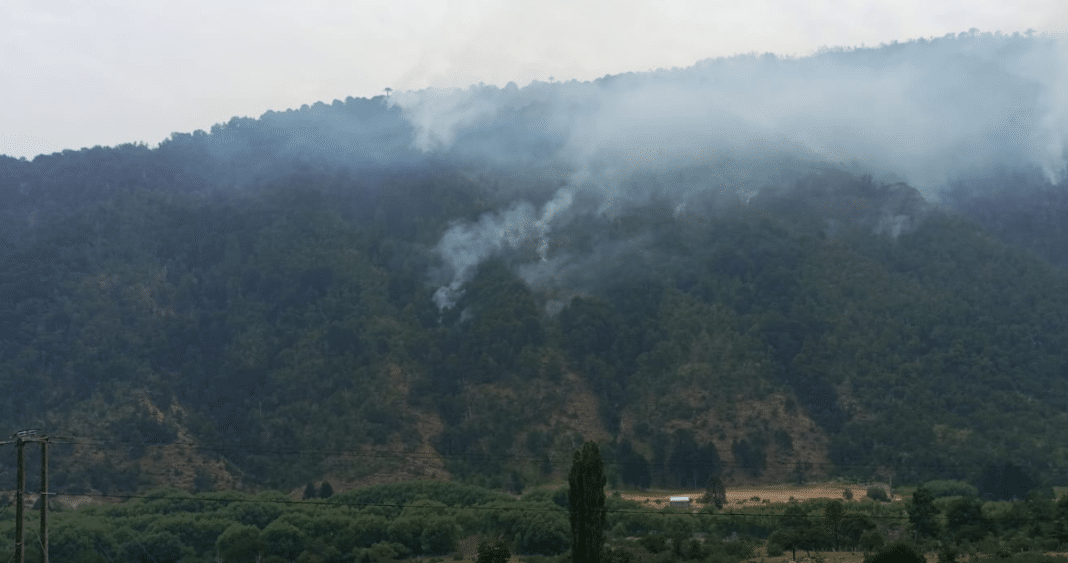 ¡Devastación en Lonquimay! Más de 1.300 hectáreas arrasadas por incendios forestales