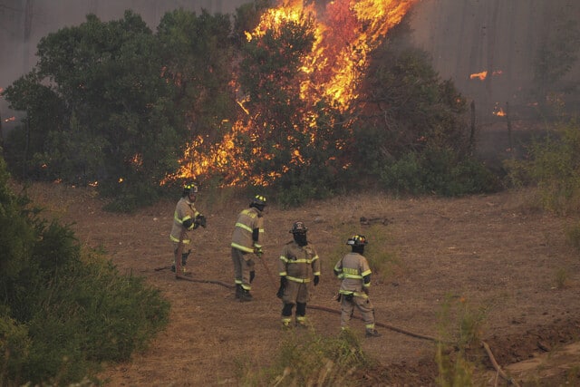 ¡Devastación sin control! Incendios forestales arrasan con más de 40.000 hectáreas