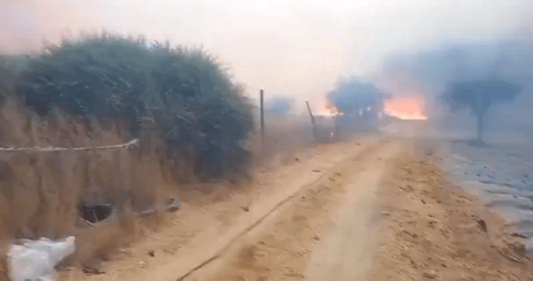 ¡Devastador incendio forestal en San Pedro! Más de 500 hectáreas consumidas y 5 construcciones arrasadas